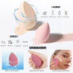 5 Piece Makeup Sponge Set with Holder (Pink)