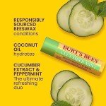 Burt's Bees Lip Balm Variety Pack - 4 Tubes