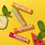 Burt's Bees Lip Balm Variety Pack - 4 Tubes