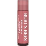 Burt's Bees Fiery Red Lip Tint Balm Duo