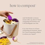 EcoTools Compostable Makeup Sponge Duo - 2 Count