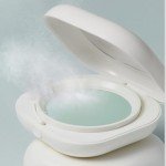 Laneige Blurring Finish Powder for Flawless Skin