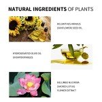 Starlight Liquid Highlighter and Contour Stick