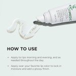IMAGE Skincare, ORMEDIC pH Balancing Lip Enhancement Complex, with Avocado Oil & Vitamin E for Deep Hydration, Clear, 0.25 fl oz