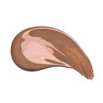 wet n wild Photo Focus Concealer, Dark Cocoa,0.29 Fl Oz (Pack of 1),845B