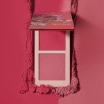 Juvia's Place Blushed Duo Blush Volume5 - Two Tone Pigmented Buildable Pressed Mineral Powder - Rosy Natural Cheeks Matte Fresh Finish for All Skin Color