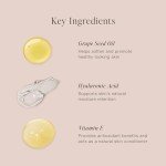 Jouer Soft Focus Hydrate & Setting - Pressed Powder with Matte Finish - Blurring Powder for Fine Lines and Pores - Set Face Makeup Foundation or Concealer - Translucent