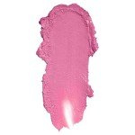 COVERGIRL Exhibitionist Lipstick Cream, Enchantress Blush 365, Tube 0.123 OZ