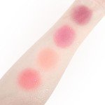 UCANBE Matte Cream-To-Powder Blush Makeup Palette, Highly Pigmented Lightweight Blush for Cheek and Eye, Blendable Flawless Velvety Coverage Face Blushes Make up 0.25 Ounce, Carrot
