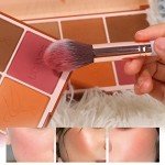 8 Colors Face Matte Blush Palette Shading Blusher with Brush - Buildable Facial Cheek Blusher Contour Bronzing Pressed Powder Makeup Pallet Women Gift Set (Multicolor, Standard size)
