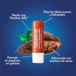Vaseline Lip Therapy Cocoa Butter Twin Pack