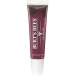Burt's Bees 100% Natural Origin Moisturizing Lip Shine, Smooch - 1 Tube