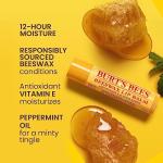 Burt's Bees Lip Balm - Original Beeswax 12 Count Pack in Bulk, Lip Moisturizer With Responsibly Sourced Beeswax, Tint-Free, Natural Origin Conditioning Treatment, 12 Tubes, 0.15 oz