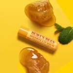 Burt's Bees Lip Balm - Original Beeswax 12 Count Pack in Bulk, Lip Moisturizer With Responsibly Sourced Beeswax, Tint-Free, Natural Origin Conditioning Treatment, 12 Tubes, 0.15 oz