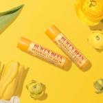 Burt's Bees Lip Balm - Original Beeswax 12 Count Pack in Bulk, Lip Moisturizer With Responsibly Sourced Beeswax, Tint-Free, Natural Origin Conditioning Treatment, 12 Tubes, 0.15 oz