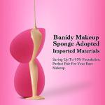 Professional Toiletry Sponges Set,Latex Free Flawless Soft Face Sponge with Holder,Beauty Blender Cosmetic Applicator for Powder,Liquid,Facial Makeup Tools