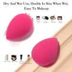 Professional Toiletry Sponges Set,Latex Free Flawless Soft Face Sponge with Holder,Beauty Blender Cosmetic Applicator for Powder,Liquid,Facial Makeup Tools