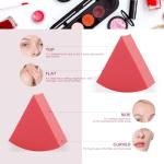 12pcs Triangle Makeup Blending Sponges with Storages Bottle, Dry and Wet Use Makeup Blender Sponges,Cosmetic Wedges Set for Foundation,Powder,Shadow,Concealer,Cream,Latex-Free