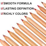 12 Colors Lip Liner Set, Matte Finish Series Lip Liners Pen Kit for Women, Long Lasting Waterproof Smooth High Pigmented Lip Pencil for Daily Makeup (Set A)