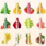 DMSKY Natural Lip Balm Bulk 24 Pack, Moisturizing Lip Balm with Vitamin E and Coconut Oil, Lip Care Product for Chapped Lips-12 Flavors