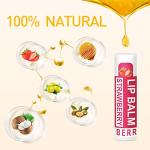 DMSKY Natural Lip Balm Bulk 24 Pack, Moisturizing Lip Balm with Vitamin E and Coconut Oil, Lip Care Product for Chapped Lips-12 Flavors