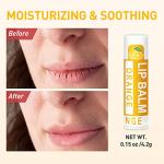 DMSKY Natural Lip Balm Bulk 24 Pack, Moisturizing Lip Balm with Vitamin E and Coconut Oil, Lip Care Product for Chapped Lips-12 Flavors