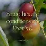 Well People Fresh Lines Eye Pencil, High-pigment Eyeliner Pencil For Lining & Defining Your Eyes, Smudge-resistant, Vegan & Cruelty-free, Black