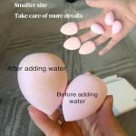 Makeup Sponge Set Blender Sponges 14 Pcs for Liquid Cream, and Powder Latex Free Multi-colored Sponges for Makeup Application with Storage Box Pink Gifts