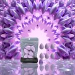 6PCS Mini Makeup Sponge, Black Small Beauty Sponge Blender Set for Foundation, Powder, Concealer Highlight,and Eye Shadow (Purple)