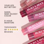Burt's Bees Lip Tint Balm Stocking Stuffers Gifts, Long Lasting 2 in 1 Duo Tinted Balm Formula, Color Infused with Hydrating Shea Butter for a Natural Looking Buildable Finish, Petal Rose (2-Pack)
