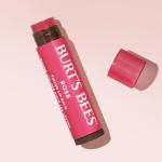 Burt's Bees Lip Tint Balm Stocking Stuffers Gifts, Long Lasting 2 in 1 Duo Tinted Balm Formula, Color Infused with Hydrating Shea Butter for a Natural Looking Buildable Finish, Petal Rose (2-Pack)