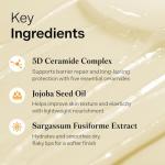 Torriden SOLID In Ceramide Lip Essence 0.37 fl.oz * 2 (Pack of 2) | Moisturizing Lip Essence for Glowy, Plumped, and Radiant Lip | Korean Lip Balm