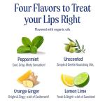Dr. Bronner's Organic Lip Balm Variety Pack (4)