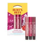 Burts Bees Kissable Color Warm Gift Set, 1 EA