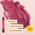 Burts Bees Kissable Color Warm Gift Set, 1 EA