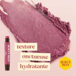 Burts Bees Kissable Color Warm Gift Set, 1 EA