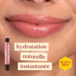 Burts Bees Kissable Color Warm Gift Set, 1 EA