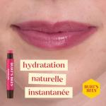 Burts Bees Kissable Color Warm Gift Set, 1 EA