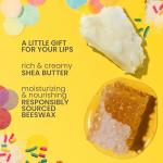 Burt's Bees Lip Balm Party Pack - Birthday Cake, Waffle Cone, Strawberry Shortcake, and Cookies & Cream, All Day Moisturizer, Tint-Free, Natural Origin Conditioning Lip Treatment, 4 Tubes, 0.15 oz.