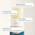 Cliganic Organic Lip Balm Set - 6 Tropical Flavors - 100% Natural Moisturizer for Cracked & Dry Lips