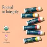 Cliganic Organic Lip Balm Set - 6 Tropical Flavors - 100% Natural Moisturizer for Cracked & Dry Lips