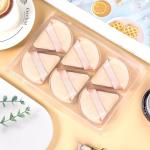 6 Pieces Triangle Powder Puff Soft Makeup Sponge Make Puff for Face Powder Cosmetic Foundation Sponge Makeup Tool Gifts for Women (Flesh)