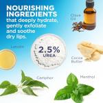 Flexitol Lip Balm, 0.35 Ounce Tube, Cream White, 3 Count (Pack of 1)