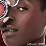 Black Radiance Artisan Color Baked Face Powder Blush Makeup, Red Brick House