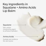 The Ordinary Squalane Hydrating Lip Balm, 0.5 Fl Oz