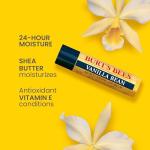 Burt's Bees Vanilla Bean Lip Balm Set