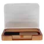 COVERGIRL Blendable Bronzer in Golden Tan