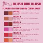 Juvia's Place Blushed Duo Blush Volume4 - Two Tone Pigmented Buildable Pressed Mineral Powder - Rosy Natural Cheeks Matte Fresh Finish for All Skin Color