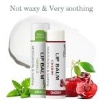 40 Pack Lip Balm Bulk, Fruit Lip Balm Variety Pack, Natural Moisturizing Balms for Dry Cracked Lips, Hydrating for Men Women Kids - 10 Flavors