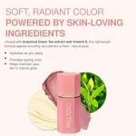 Palladio Liquid Blush for Cheeks & Lips 2-in-1 Makeup Face Blush, Weightless Cream Formula, Smudge Proof Long-Wearing Pigmented Blush, Natural Look Makeup Face Blushes, Dewy Finish, Rose Cloud